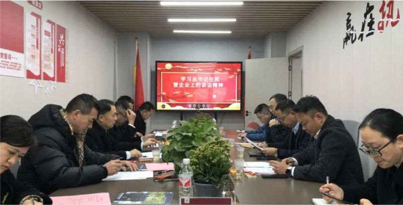 深入學(xué)習(xí)習(xí)總書(shū)記在民營(yíng)企業(yè)座談會(huì)上的重要講話精神